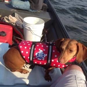 Meet your Posher, Ricky